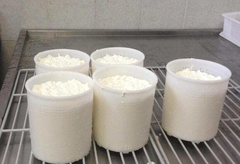 ホテル Agriturismo La Betulla