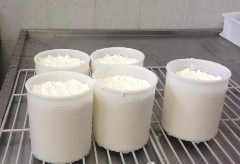 Hotelli Agriturismo La Betulla