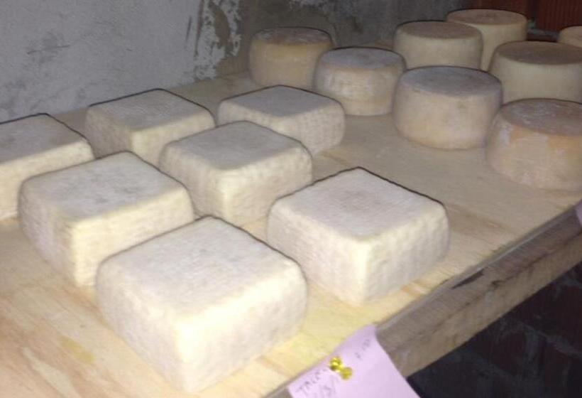 ホテル Agriturismo La Betulla