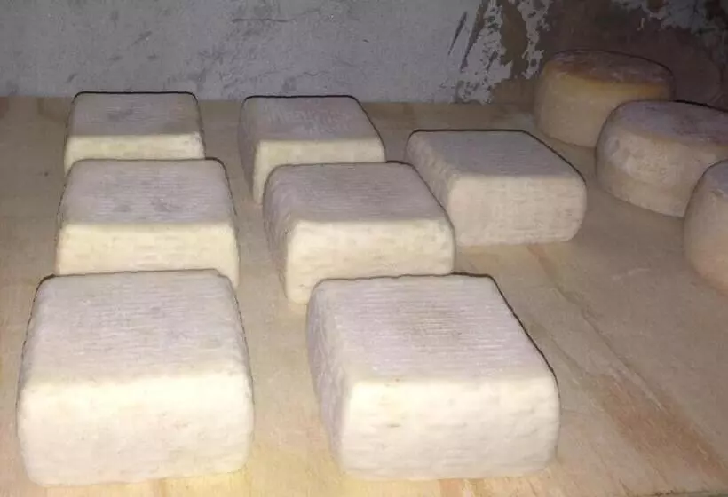 Hotelli Agriturismo La Betulla