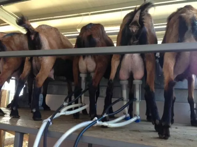 Hotelli Agriturismo La Betulla