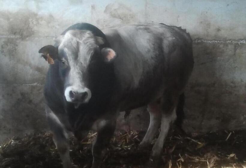 ホテル Agriturismo La Betulla