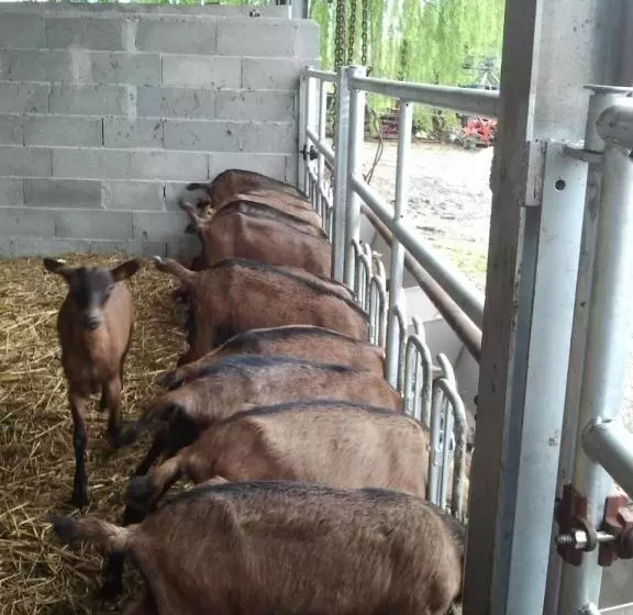 Hotelli Agriturismo La Betulla