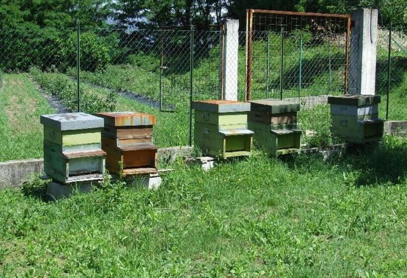 ホテル Agriturismo La Betulla