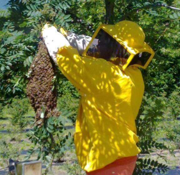 ホテル Agriturismo La Betulla