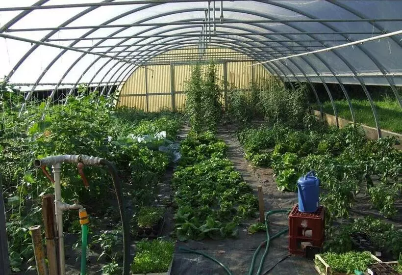 Hotelli Agriturismo La Betulla