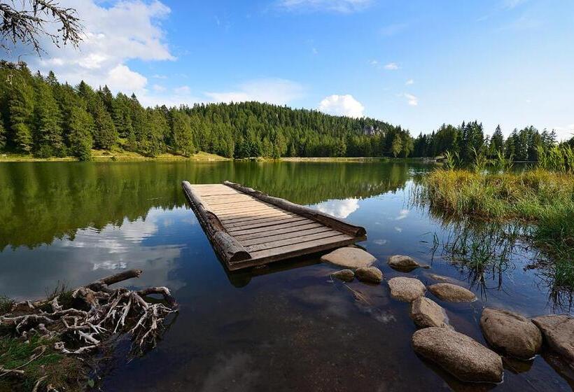 酒店 Albergo Aurora