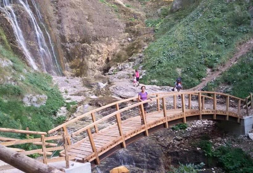 酒店 Albergo Aurora