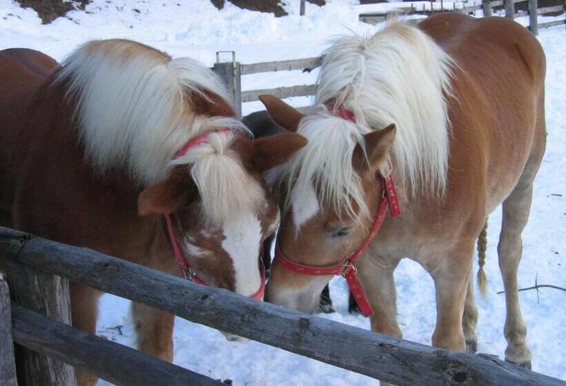 Отель Jörgleggerhof