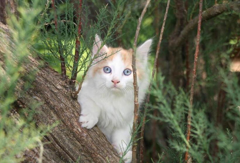 Отель Jörgleggerhof