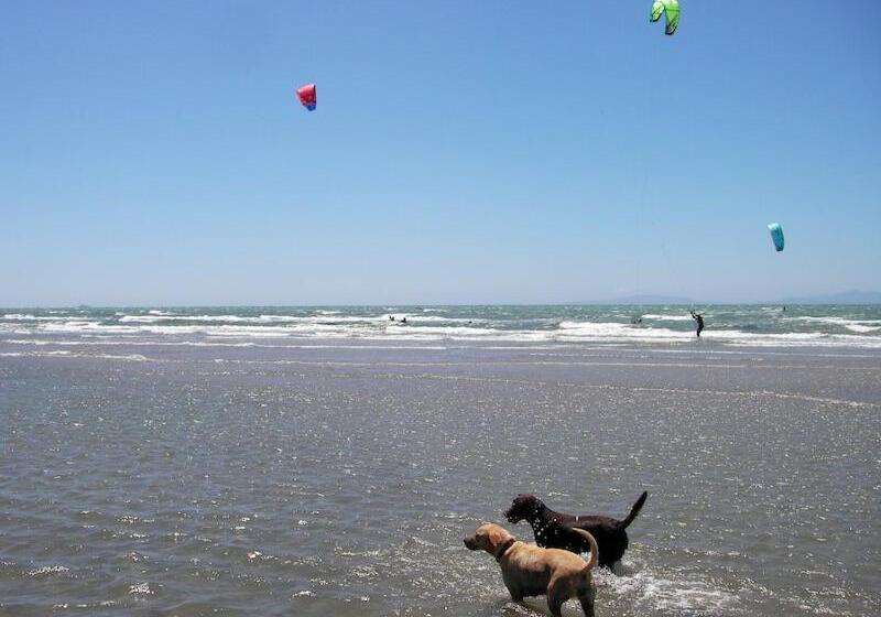 Отель Parco Delle Cale