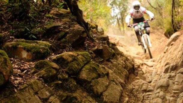 Отель Parco Delle Cale