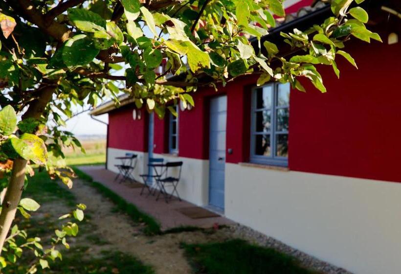 酒店 Al Dolce Far Niente Casolare Da 25 P Di Design