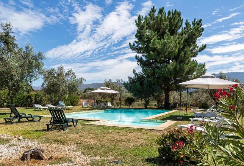 호텔 Quinta Do Chão Da Vinha