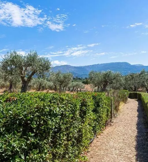 Hotelli Quinta Do Chão Da Vinha