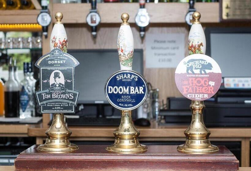 酒店 The Black Dog Inn