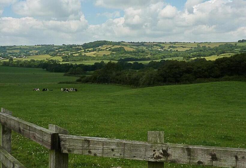 酒店 The Black Dog Inn