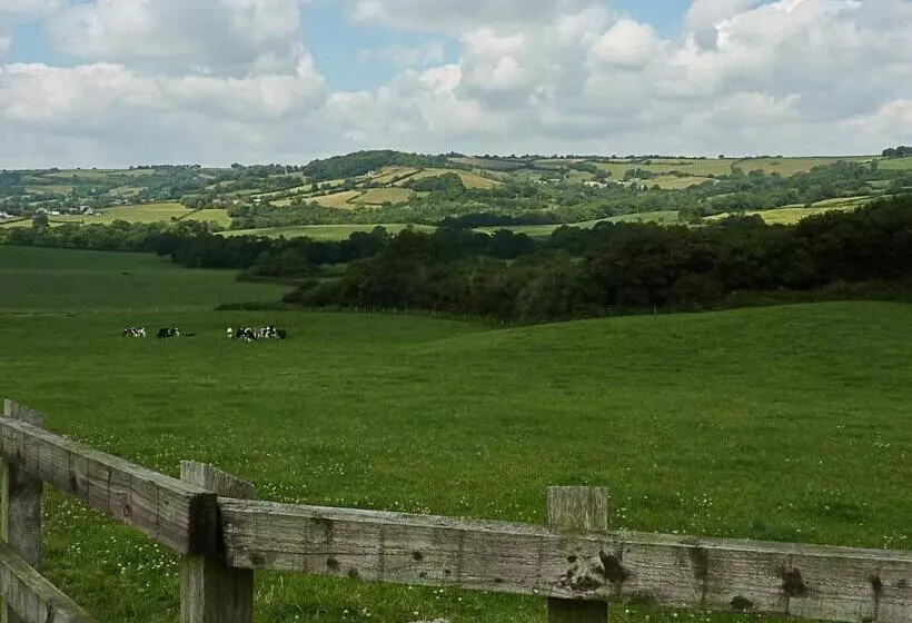 ホテル The Black Dog Inn