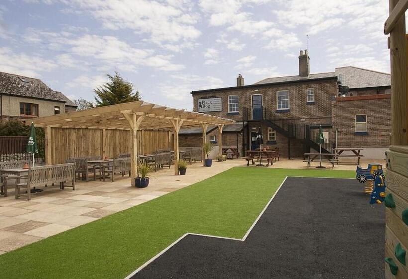 酒店 The Black Dog Inn