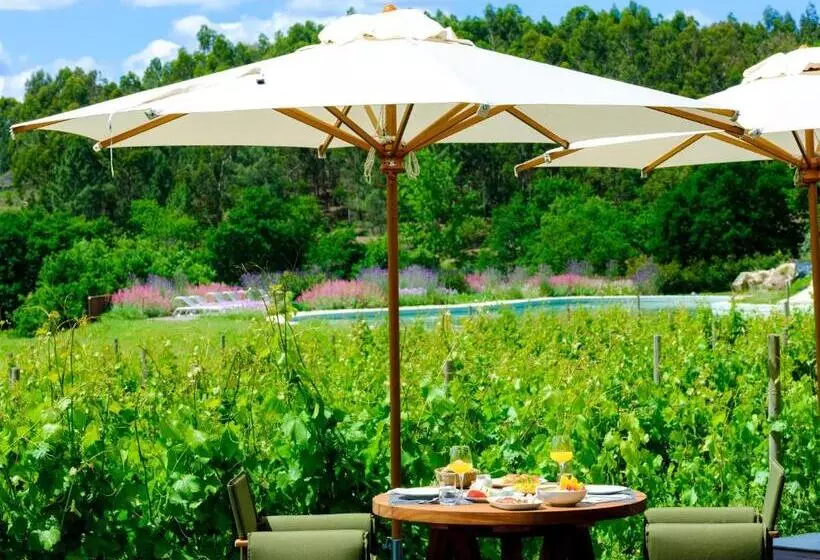 Lavandeira Douro Nature & Wellness