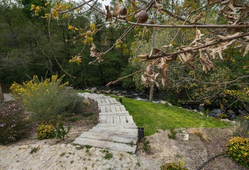 Lavandeira Douro Nature & Wellness