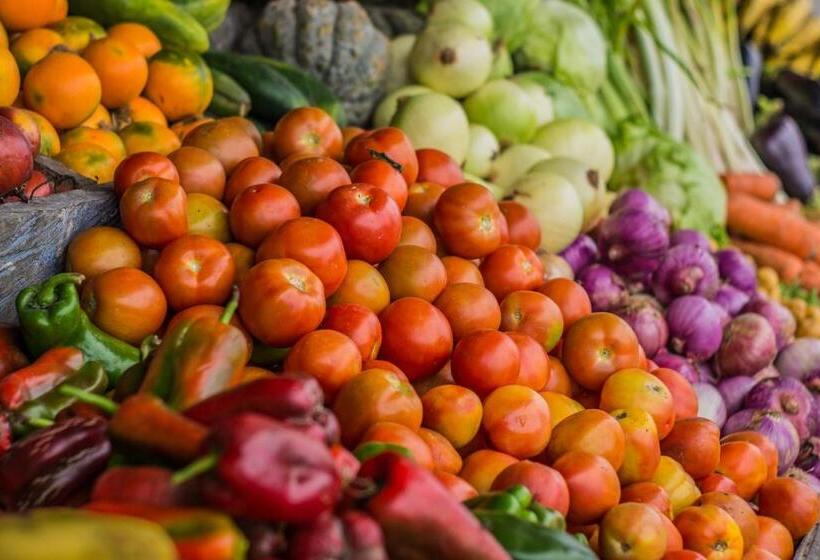 Pension Puerto Caribe Hostal