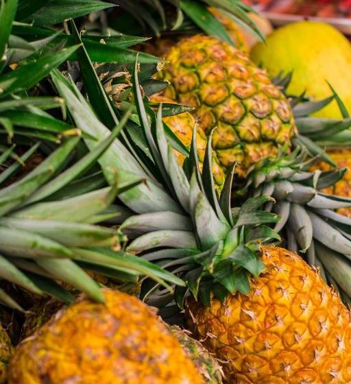 Pension Puerto Caribe Hostal