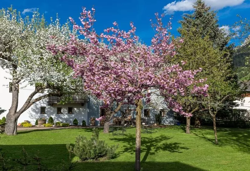 Pension Residence Mitterdorfer