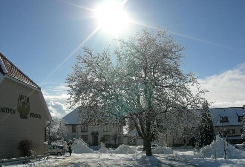 Pension Adler