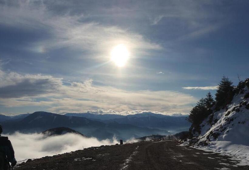 Pension Landhaus Ingrid B&b