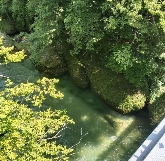 Pension Landhaus Ingrid B&b