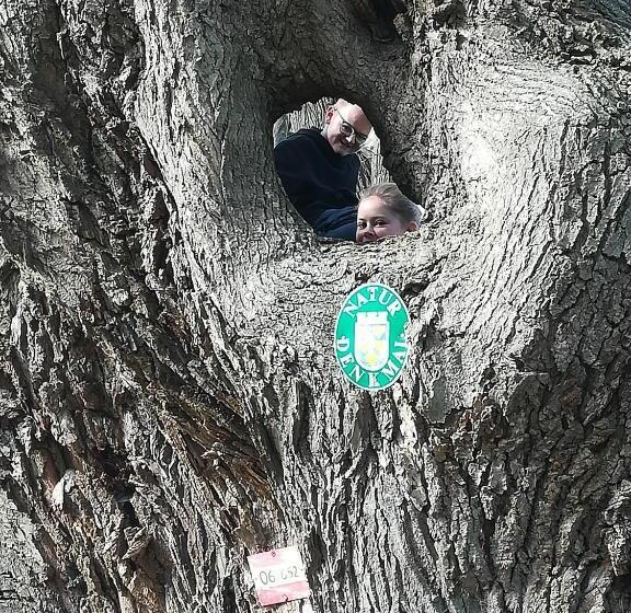 Pension Landhaus Ingrid B&b