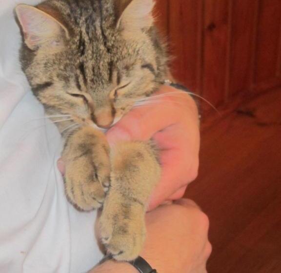 Pension Landhaus Ingrid B&b