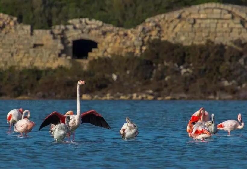 Residence La Scogliera By Barbarhouse