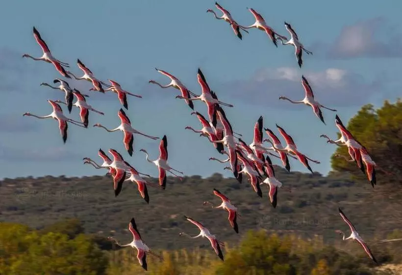 Residence La Scogliera By Barbarhouse