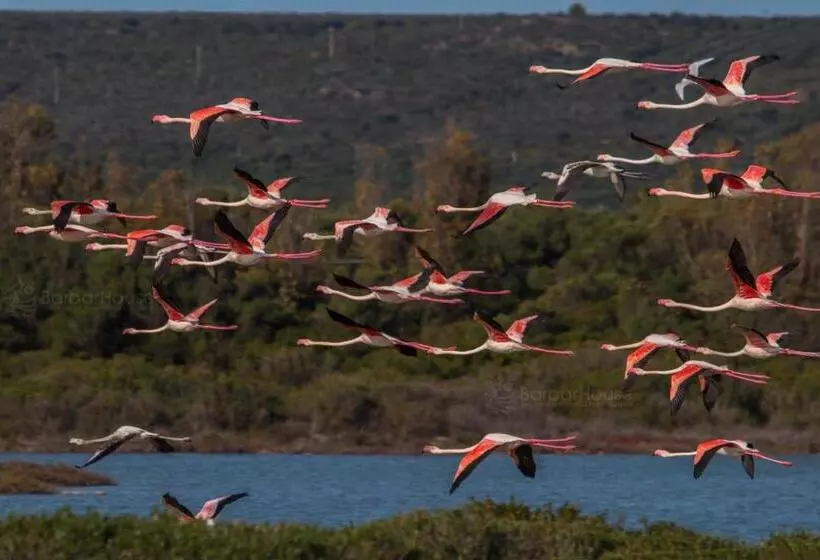Residence La Scogliera By Barbarhouse