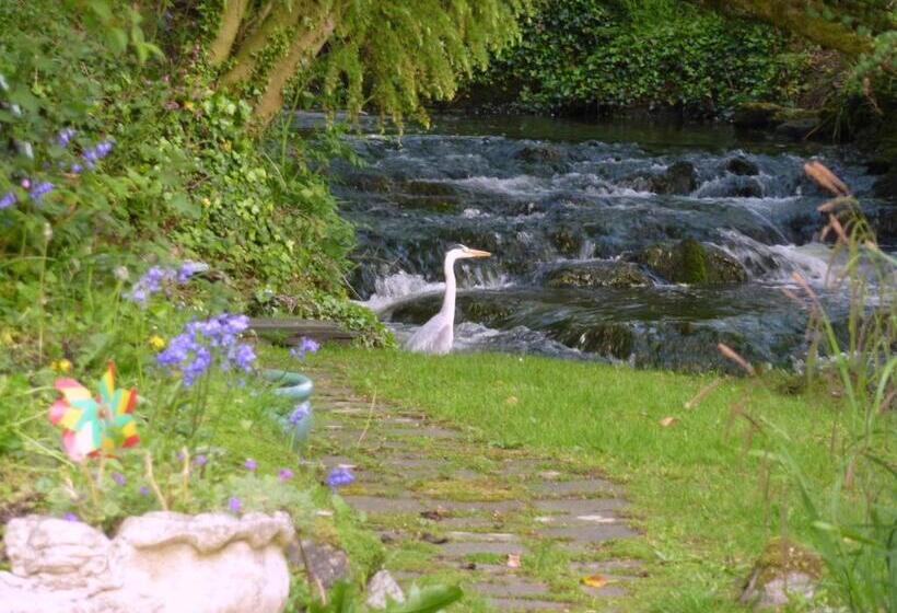 Yr Hen Felin The Old Mill B&b