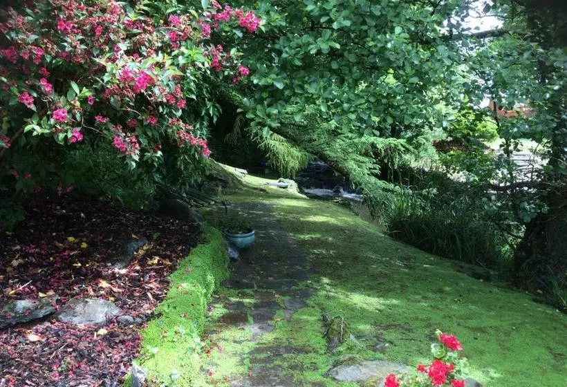 Yr Hen Felin   The Old Mill B&b