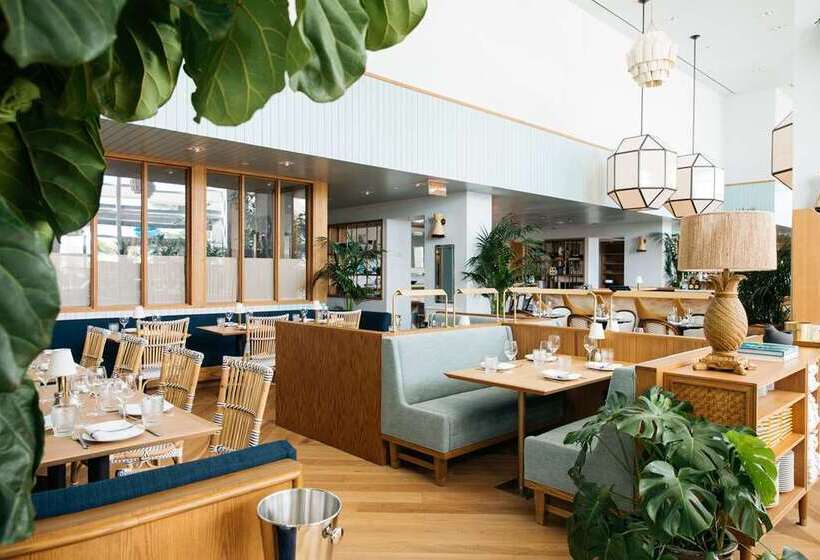 Diplomat Beach Resort Hollywood Curio Collection By Hilton