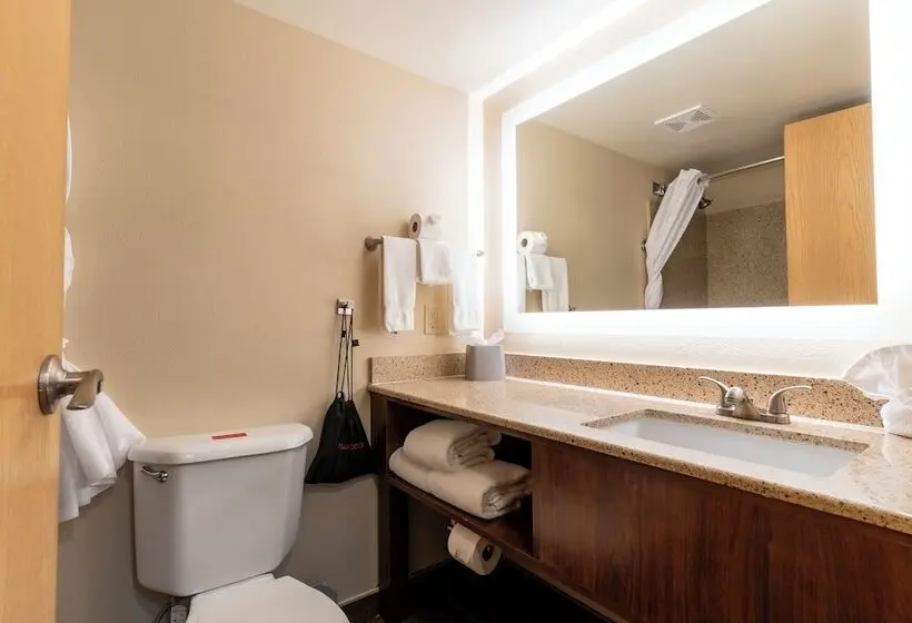 Grand Canyon Hotel & Suites