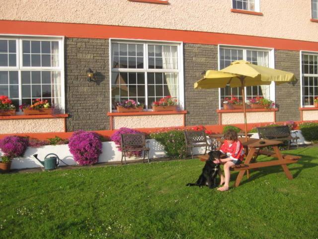 Hotel Alpine Guesthouse