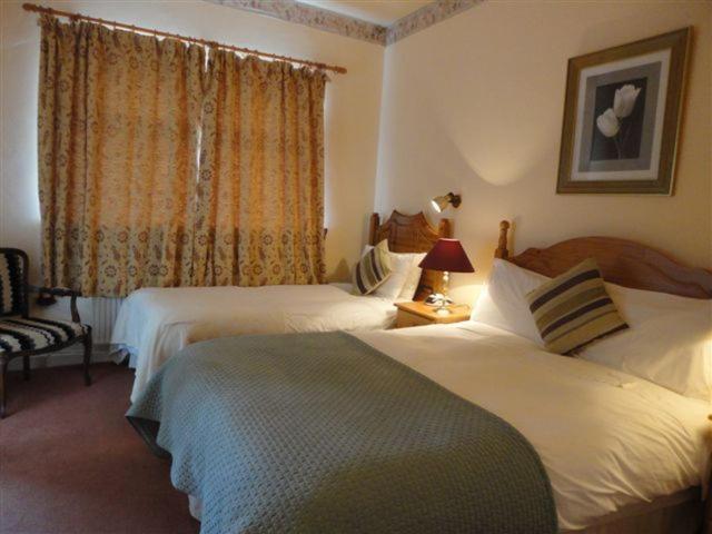 Hotel Alpine Guesthouse