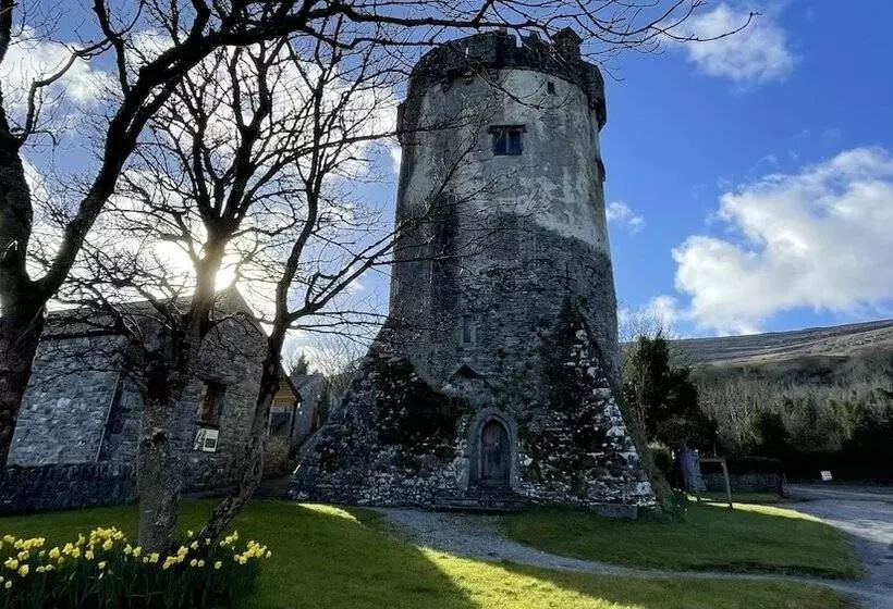 فندق Cappabhaile House