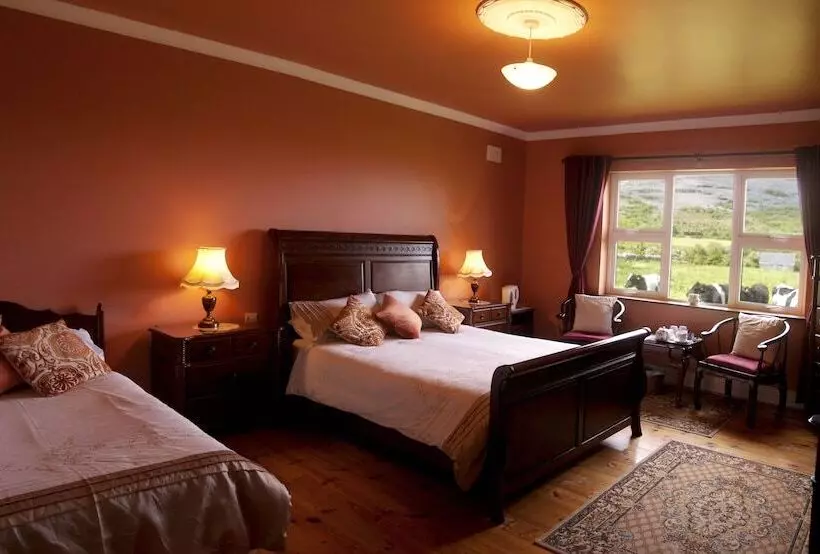 فندق Cappabhaile House