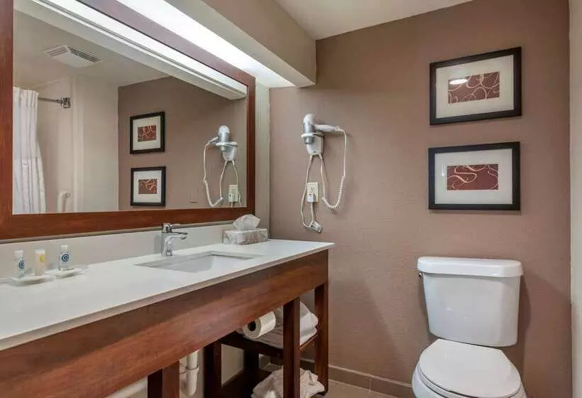 فندق Comfort Suites Sawgrass