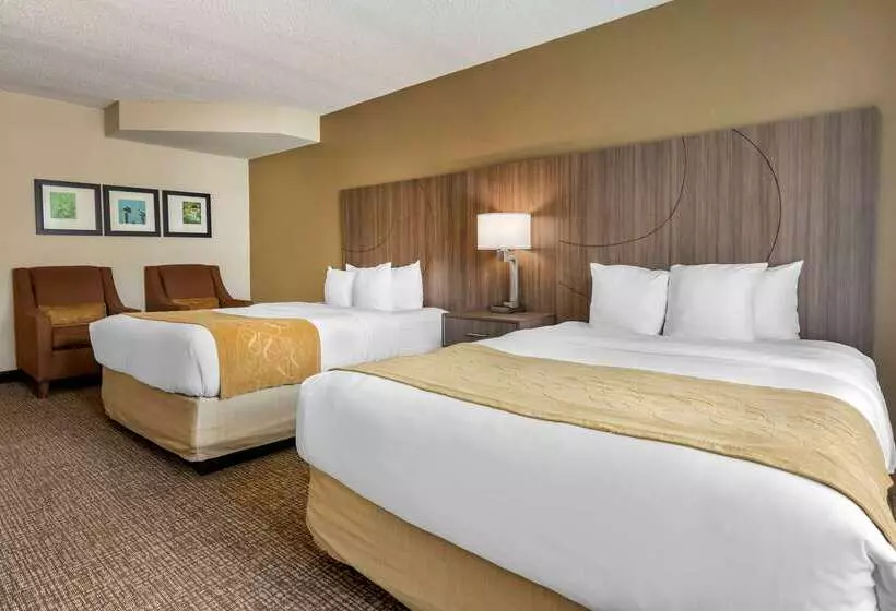 فندق Comfort Suites Sawgrass
