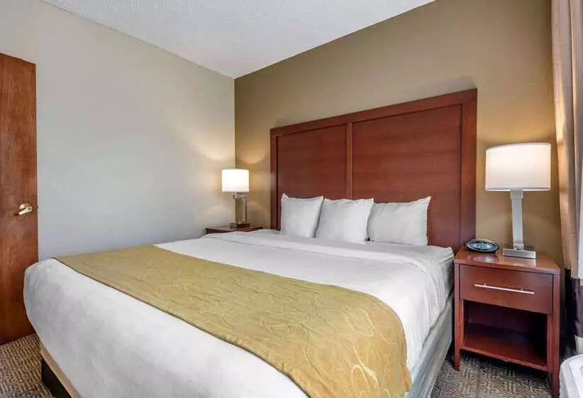 فندق Comfort Suites Sawgrass