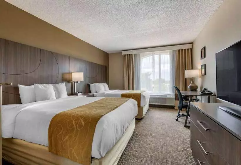 فندق Comfort Suites Sawgrass