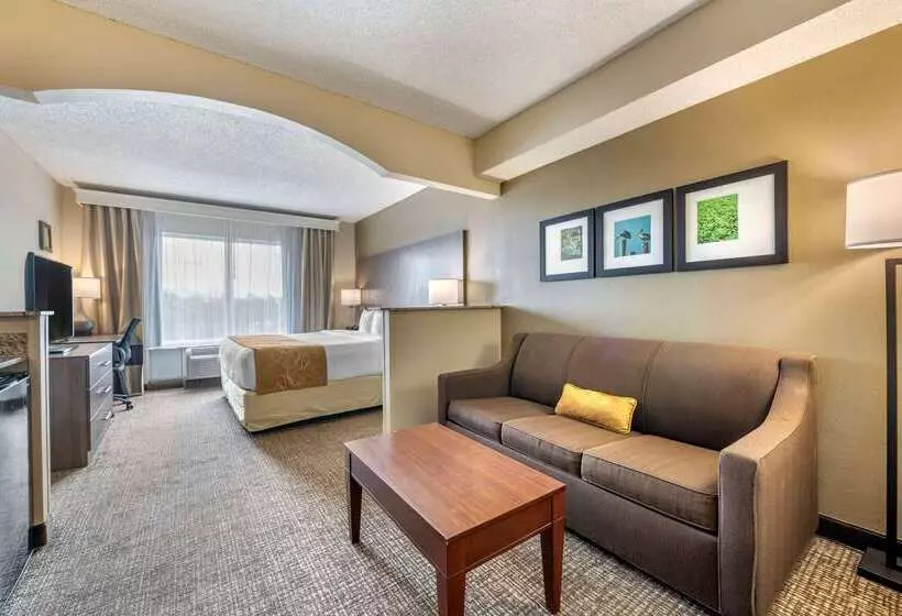 فندق Comfort Suites Sawgrass