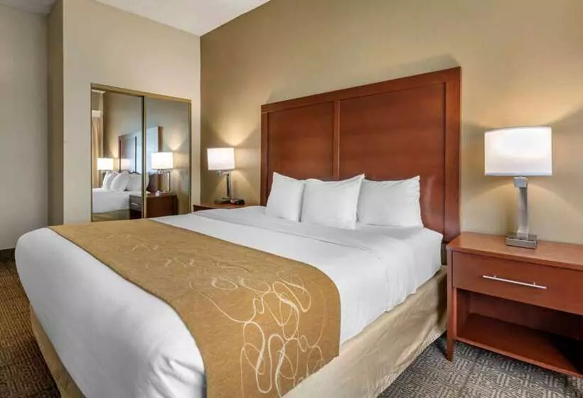 فندق Comfort Suites Sawgrass